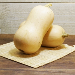 Butternut