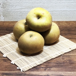 Pomme Reinette grise 1kg